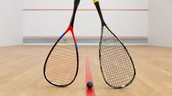 Professional Indoor Squash Court